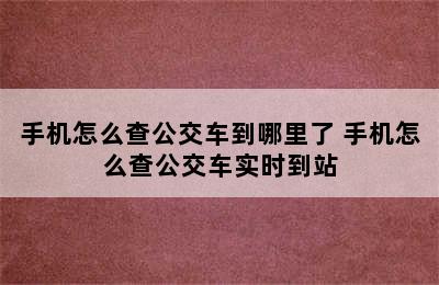 手机怎么查公交车到哪里了 手机怎么查公交车实时到站